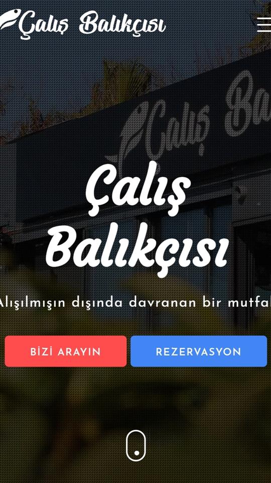 Çalış Balıkçısı