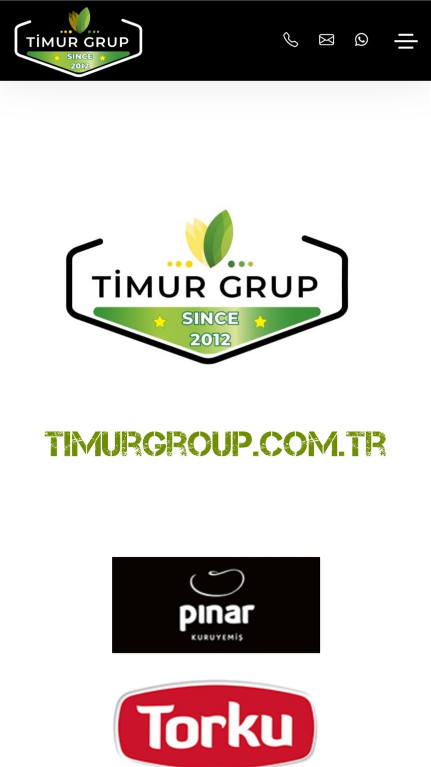 Timur Group