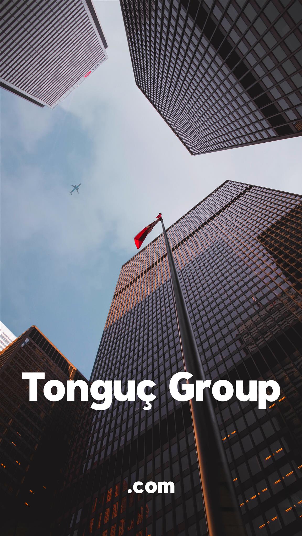 Tonguç Group. Com