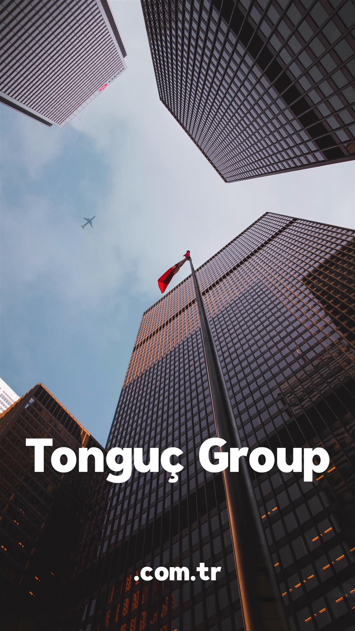 Tonguç Group. Com. Tr