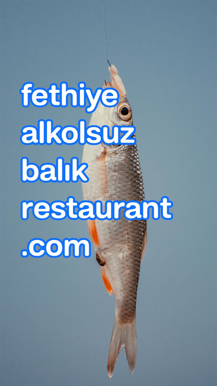 fethiyealkolsuzbalikrestaurant.com