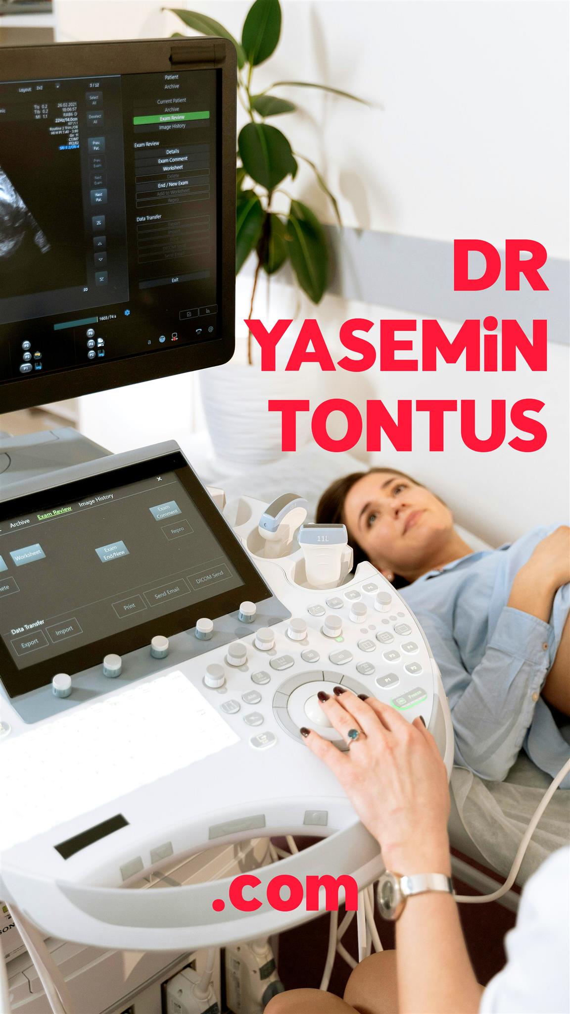 yasemintontus.com