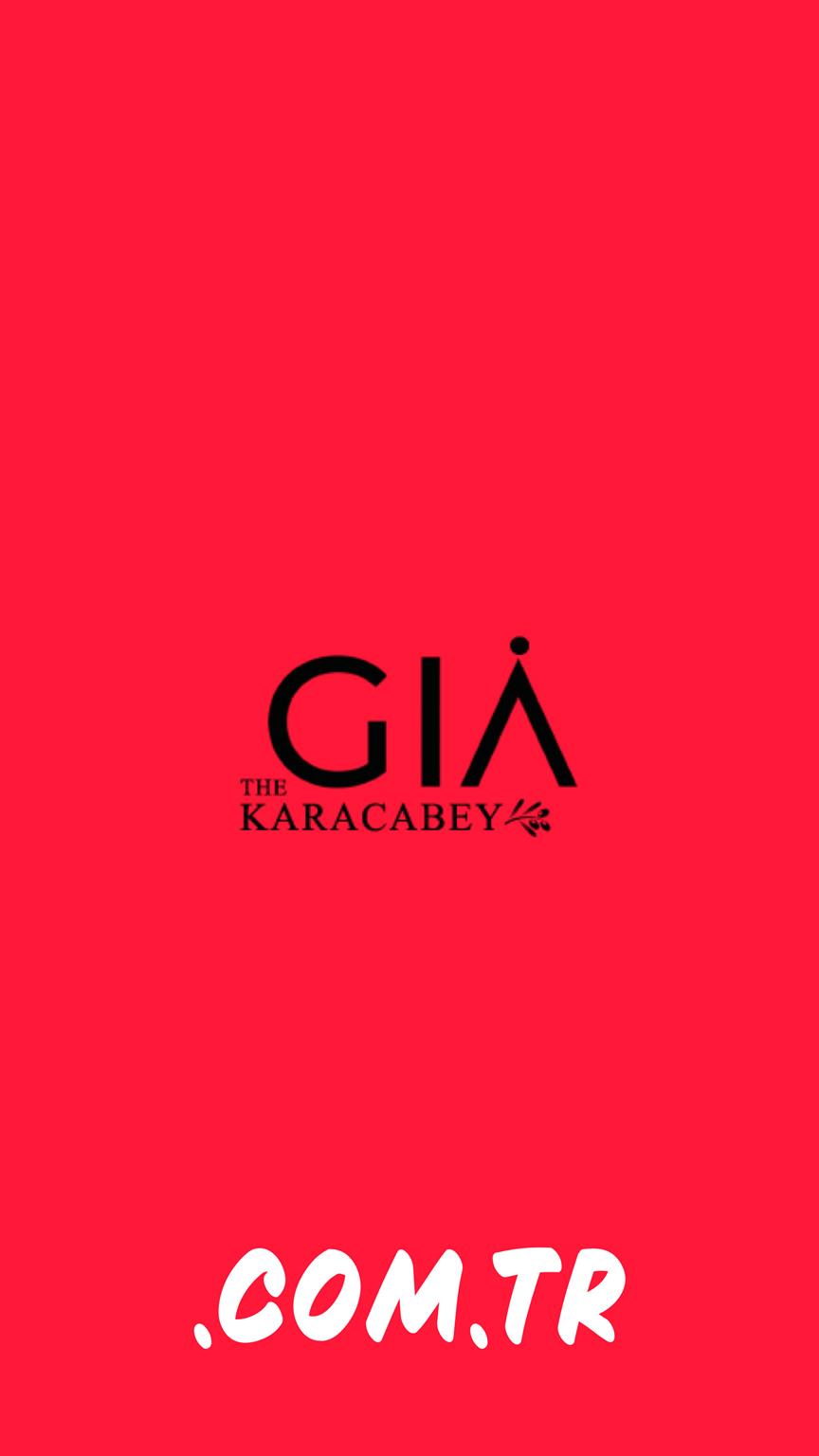 giathekaracabey.com.tr